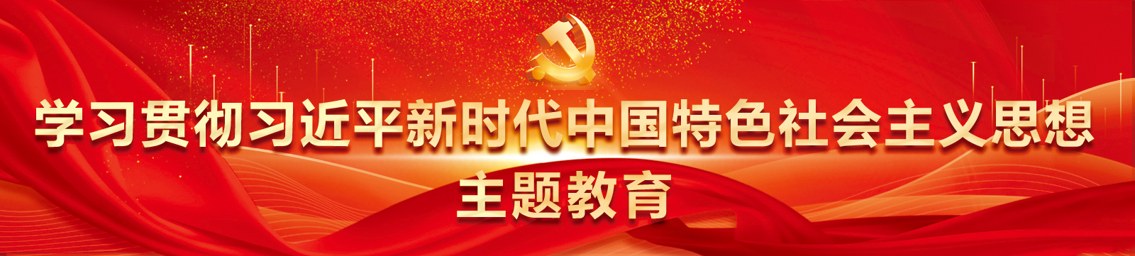 学习贯彻新时代中国特色社会主义主题教育
